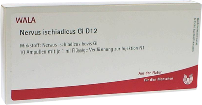 NERVUS ISCHIADICUS GL D 12 Ampullen